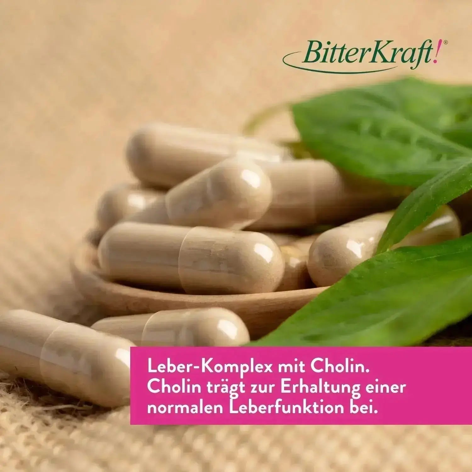 Leber-Komplex – 3er-Sparpaket
