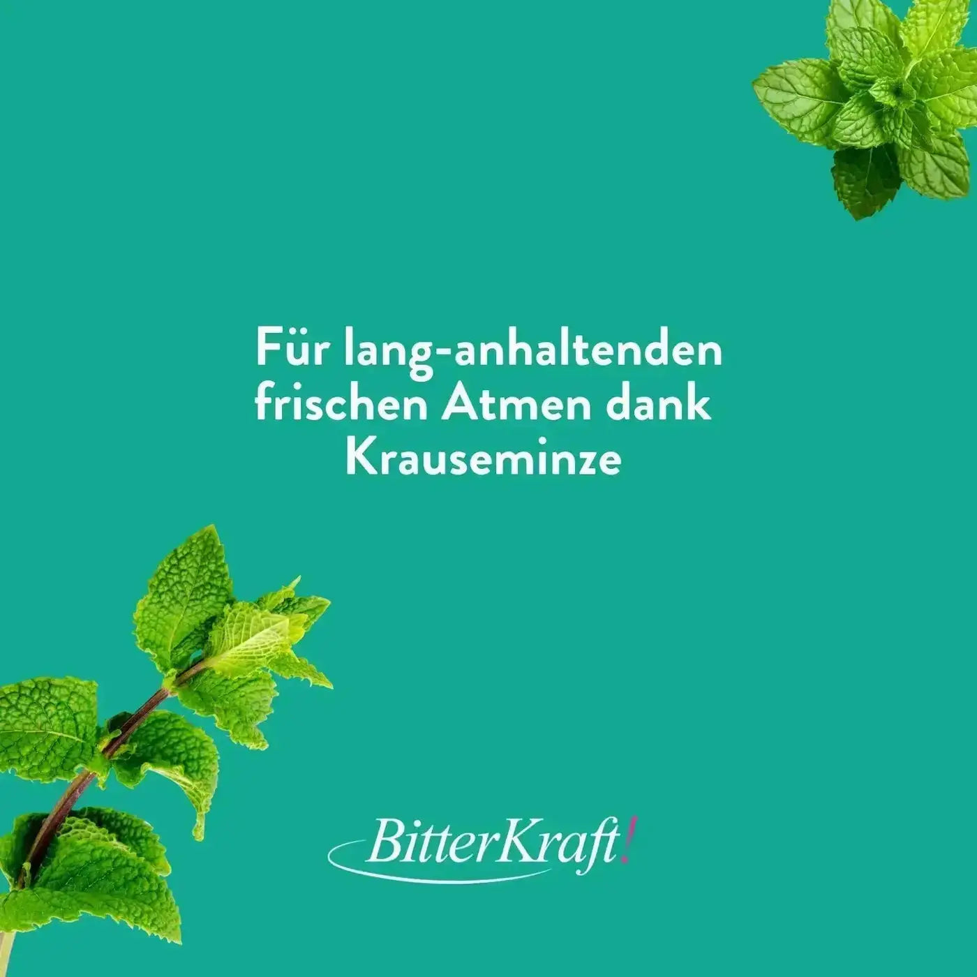 Rebaschen-Zahncreme Geburtstagspaket