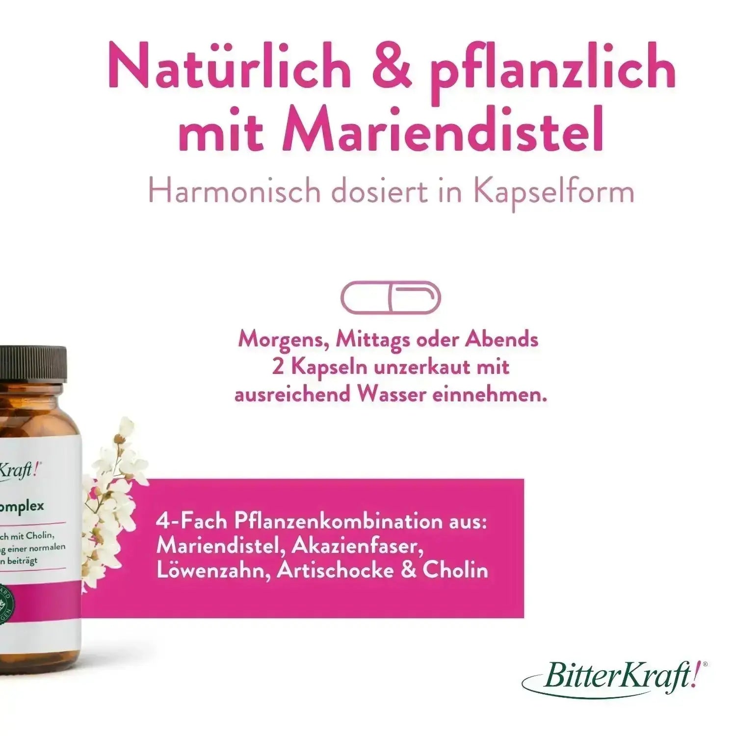 Leber-Komplex – 3er-Sparpaket