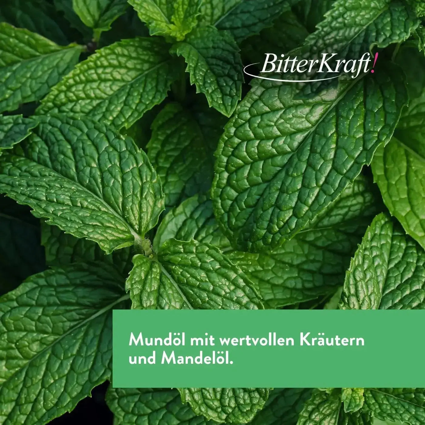 Mundziehöl Kloster-Minze 200ml