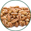 Dinkel