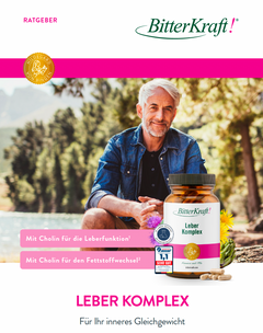 Leber Komplex – Titelseite