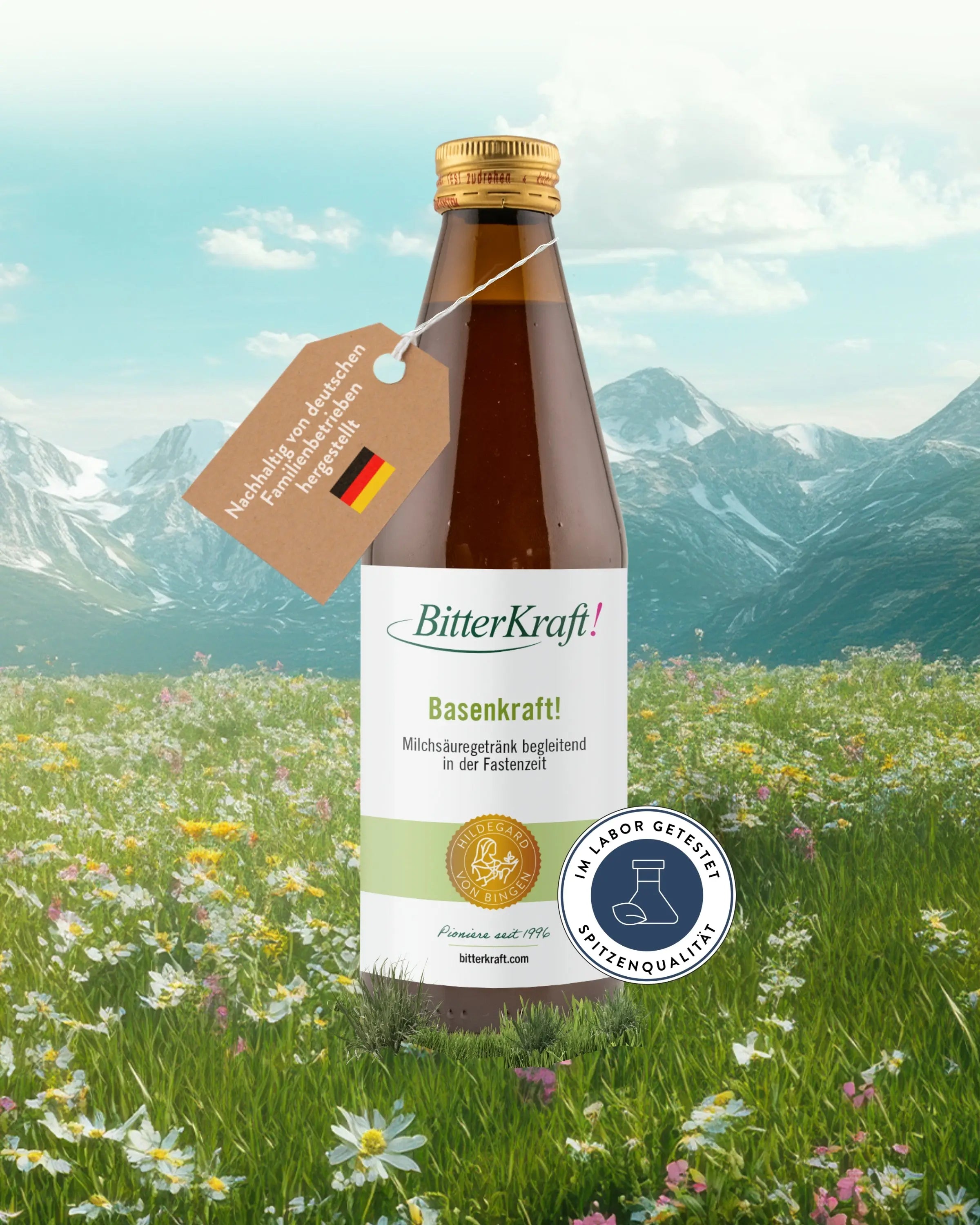 Basenkraft! Original (BIO)