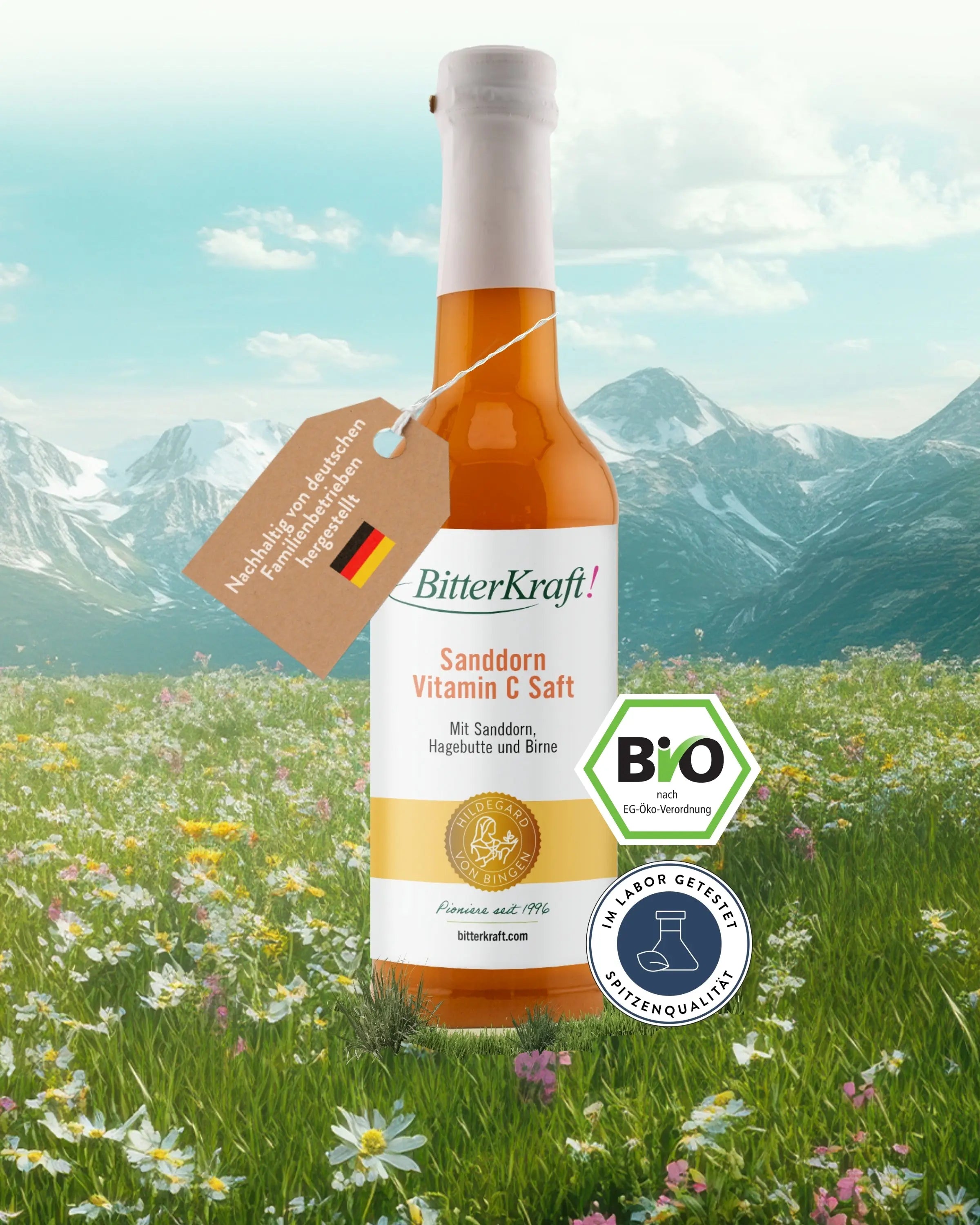 Sanddorn-Saft (BIO) 350ml