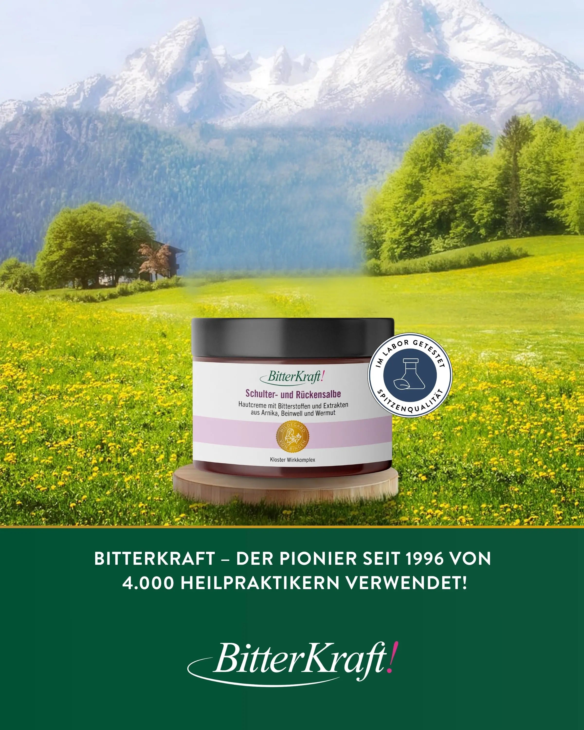 Schulter- und Rückensalbe Hildegard von Bingen